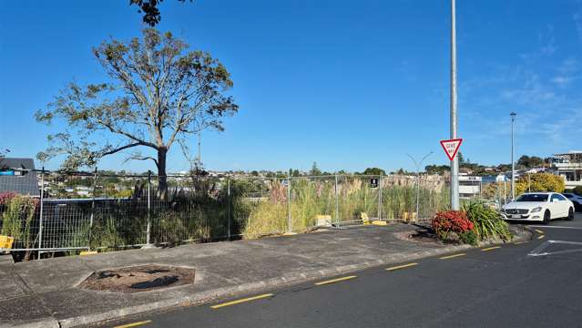 16 Fencible Drive Howick_3