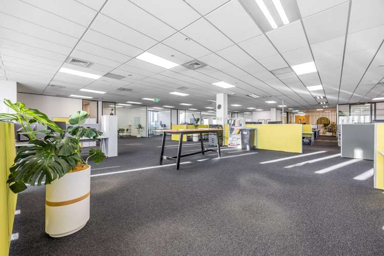 6-8 Nugent Street Grafton_7