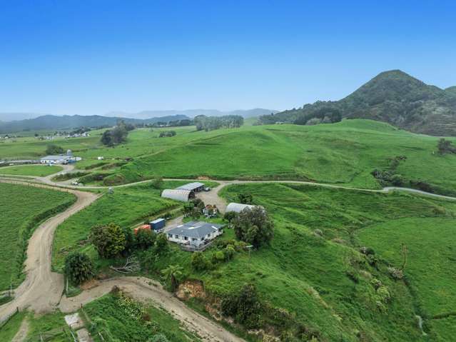 165 Motu Road Opotiki_2