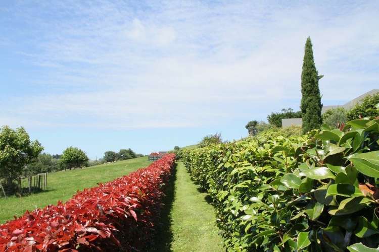 796 Te Mata Road Raglan_13