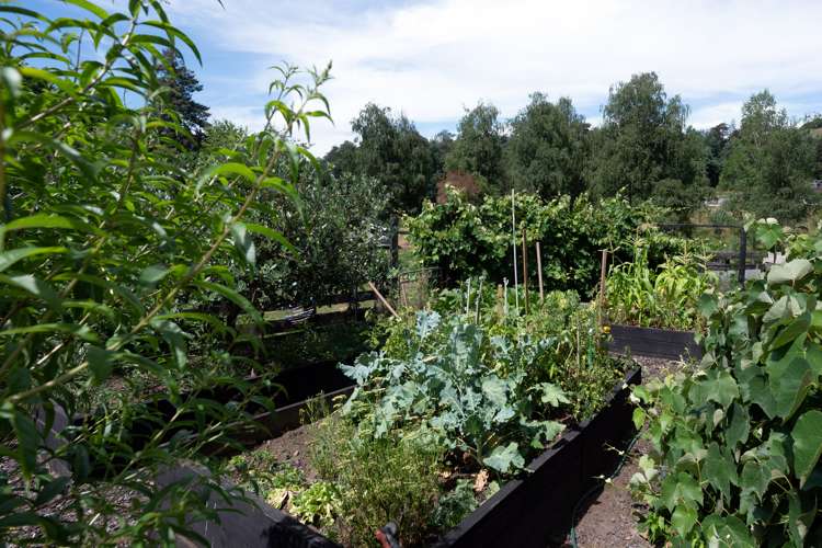 131 Golf Road Taumarunui_20