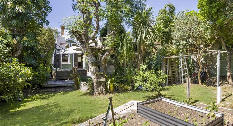 10 Northland Street Grey Lynn_13