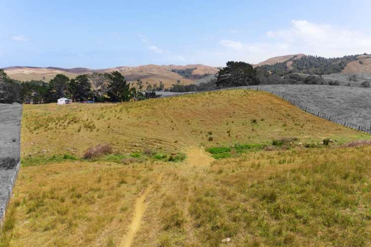 1149 Waikaretu Valley Road Waikaretu_7