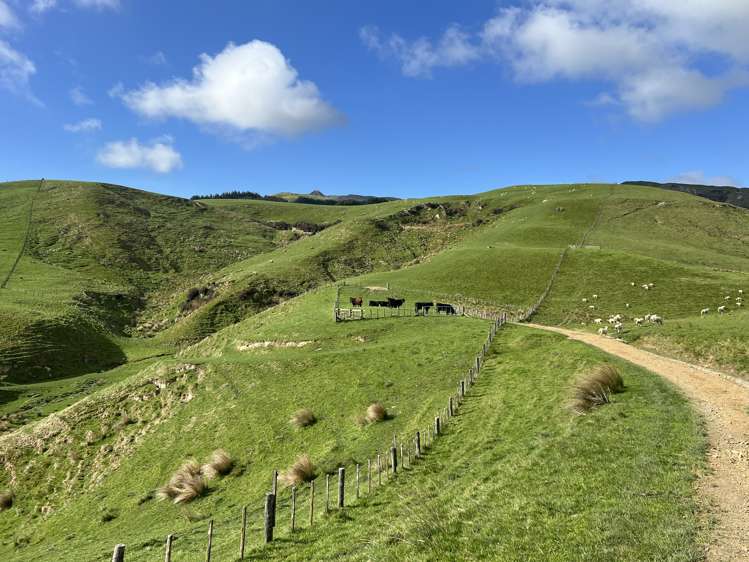 467 Waitahora Valley Road Dannevirke_20