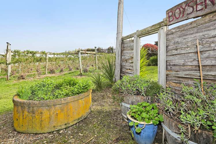 52 Raymond Road Haumoana_23