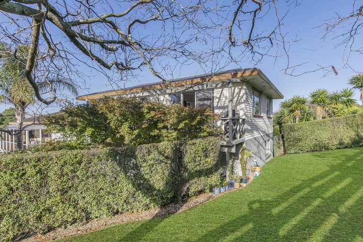 36b Pyatt Crescent Saint Johns_24