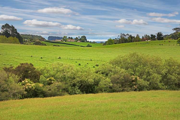 362 Jones Road Hunua_16