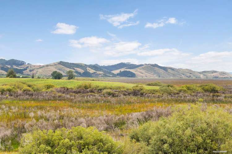 724c Island Block Road Mercer_30