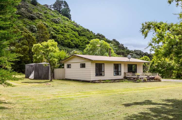 16 McLaughlin Drive Tinui_19