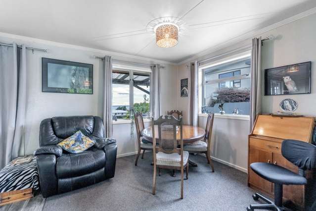 31 Theodore Street Bluff_4