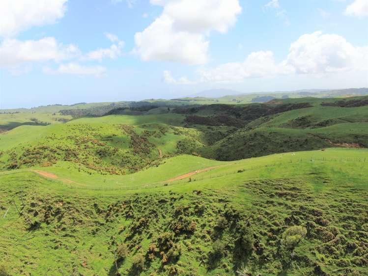 613 Pirongia West Road Oparau_5