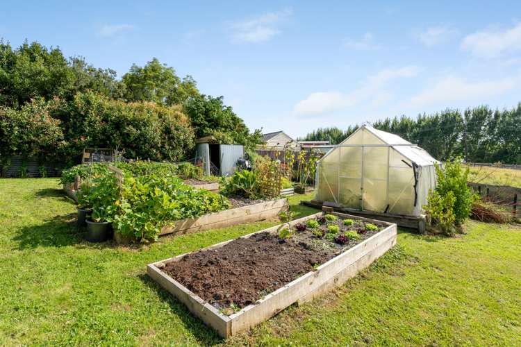 42 Hastings Street Halcombe_17