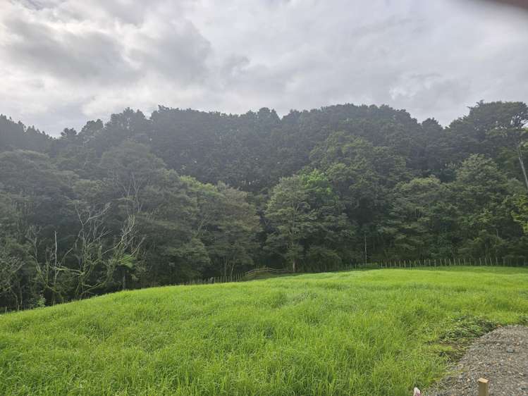 Lot Lot 1/675 Gorge Road Maungaturoto_10