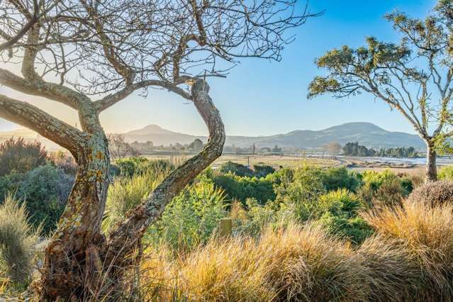 1440 Coast Road Karitane_4