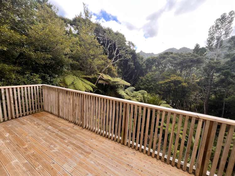 Whatipu Road Huia_15