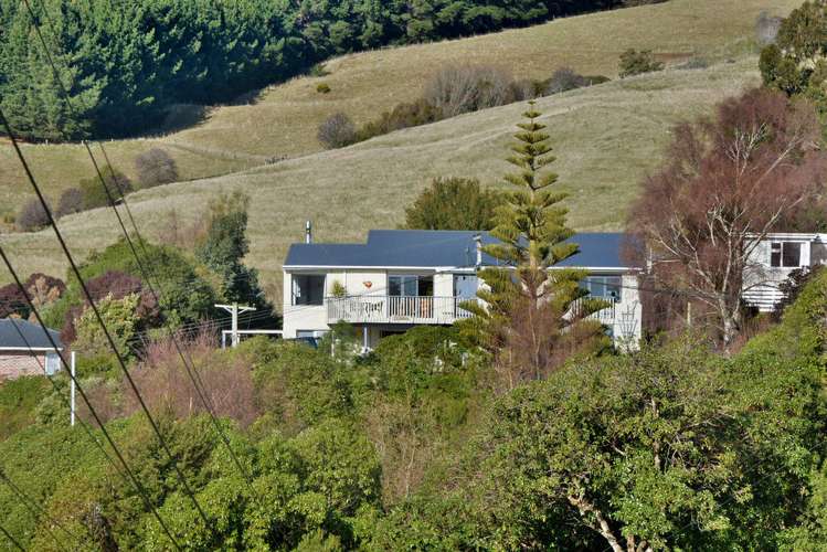 9 Hellyer Street Macandrew Bay_25