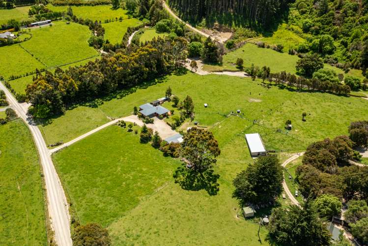 132 Mount Riley Road Havelock_41