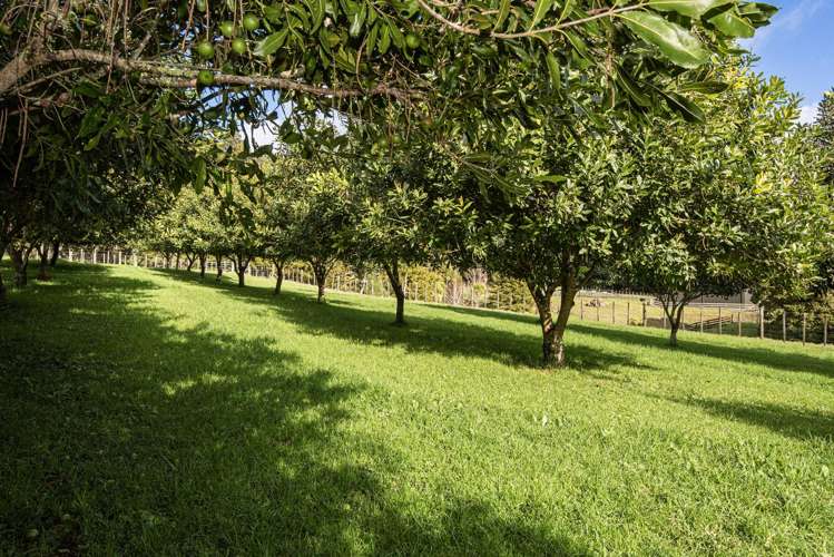 443 & 433 Pipiwai Road Ngararatunua_35