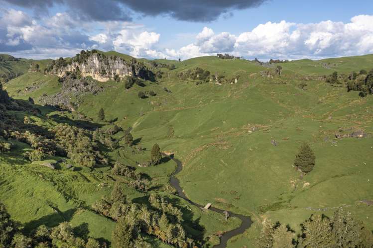 574 Mangaotaki Road Piopio_17