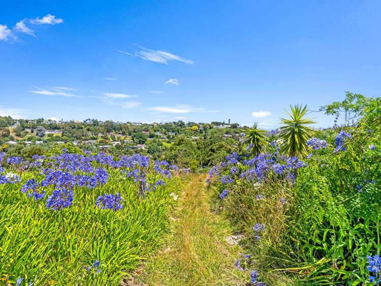 36 Shakespeare Road Bastia Hill_9