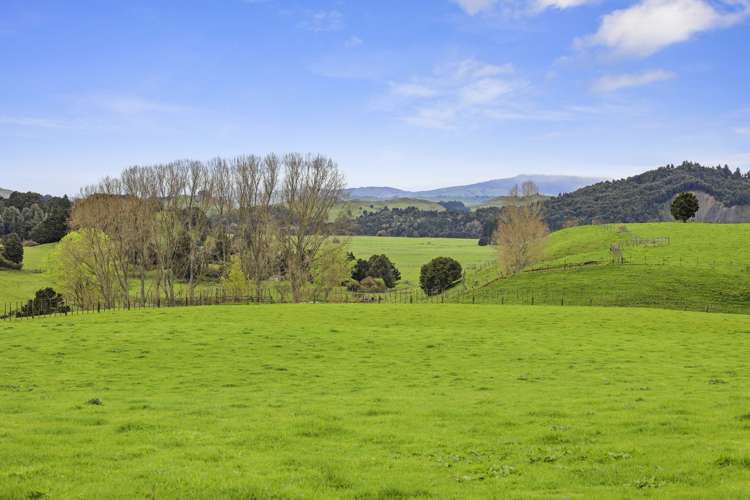 Stone Jug Road Kakahi_9