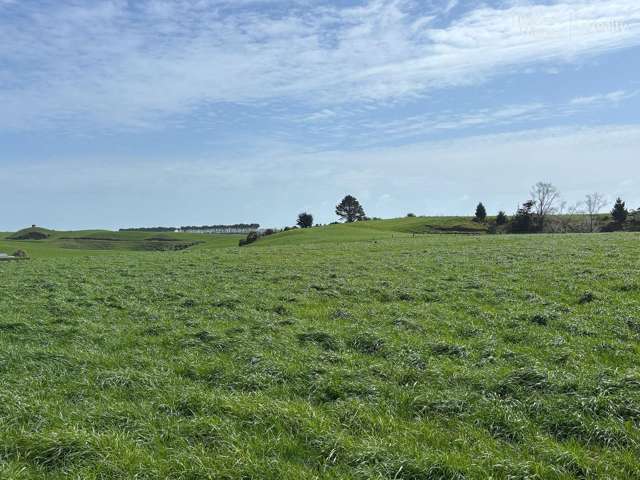 163 Ohanga Road Onaero_2