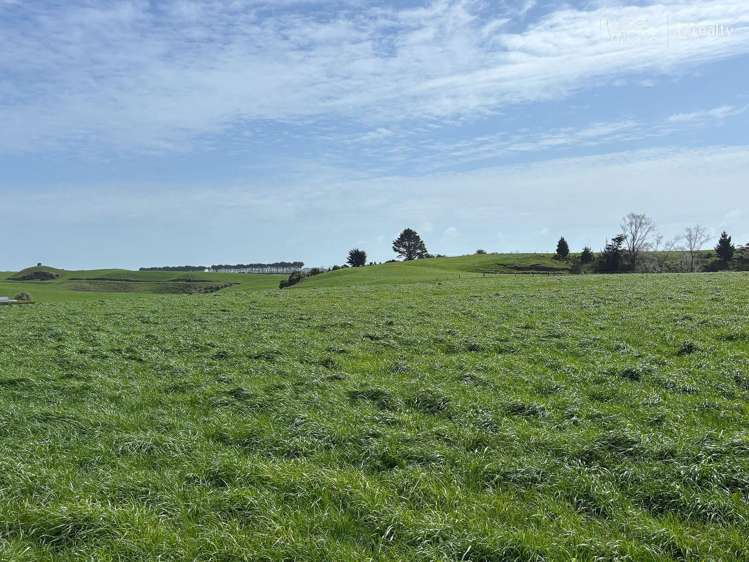 163 Ohanga Road Onaero_2