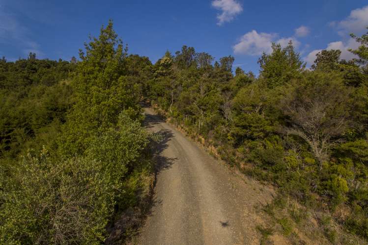 595 Rangihau Road Coroglen_17