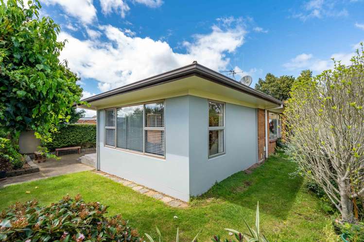 216B Peachgrove Road Claudelands_20