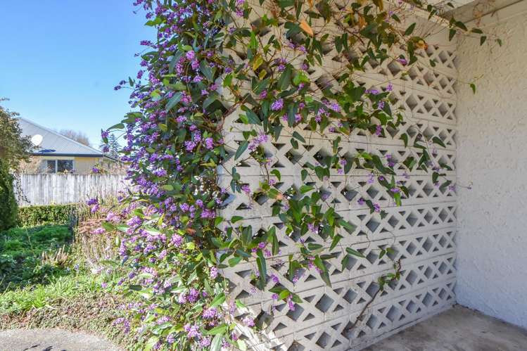 3 Walnut Lane Carterton_16