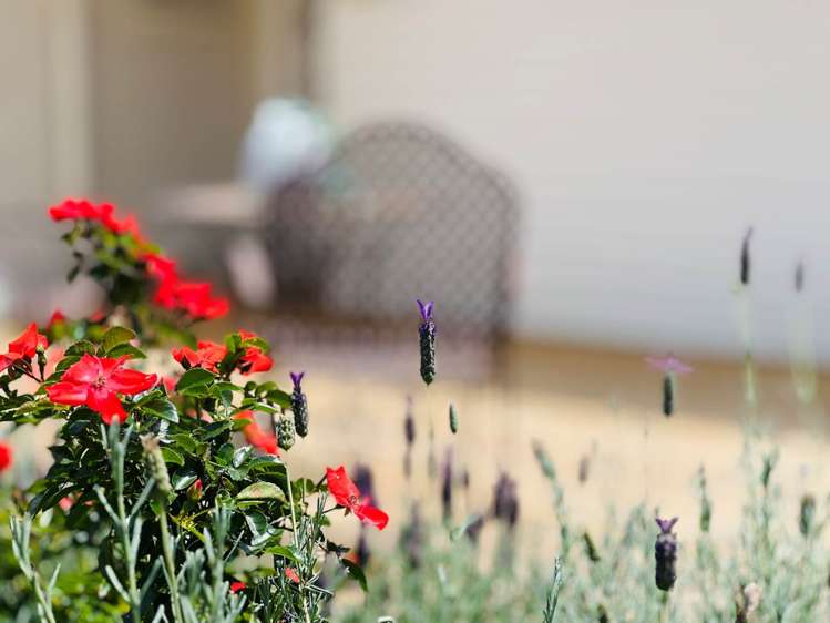 31 Haughey Avenue Three Kings_12