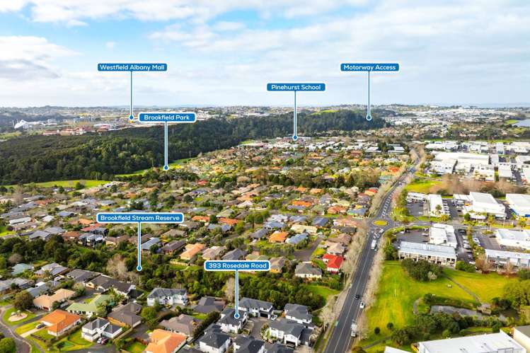 393 Rosedale Road Albany_31