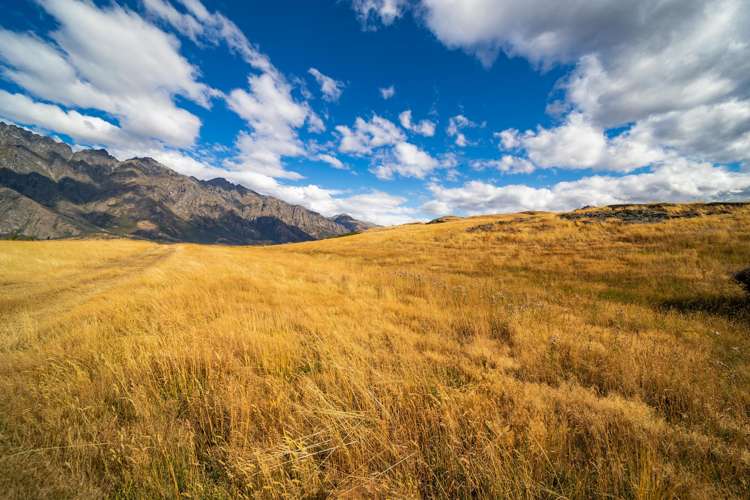 3 Water Race Lane Jacks Point_11