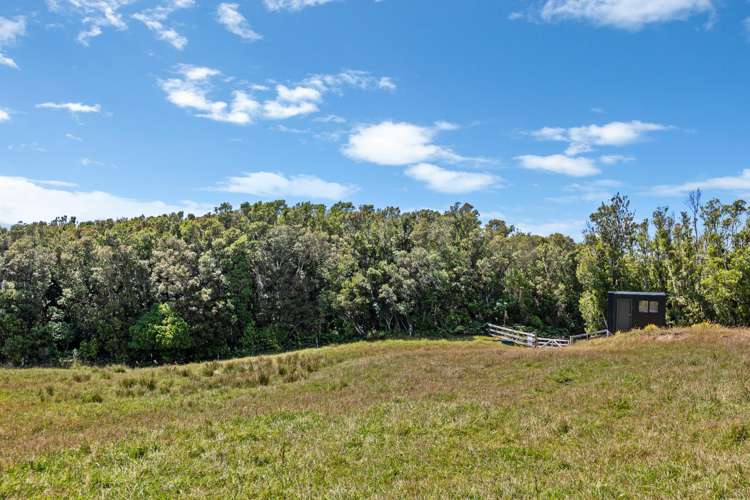 1878 Mangorei Road Mangorei_22