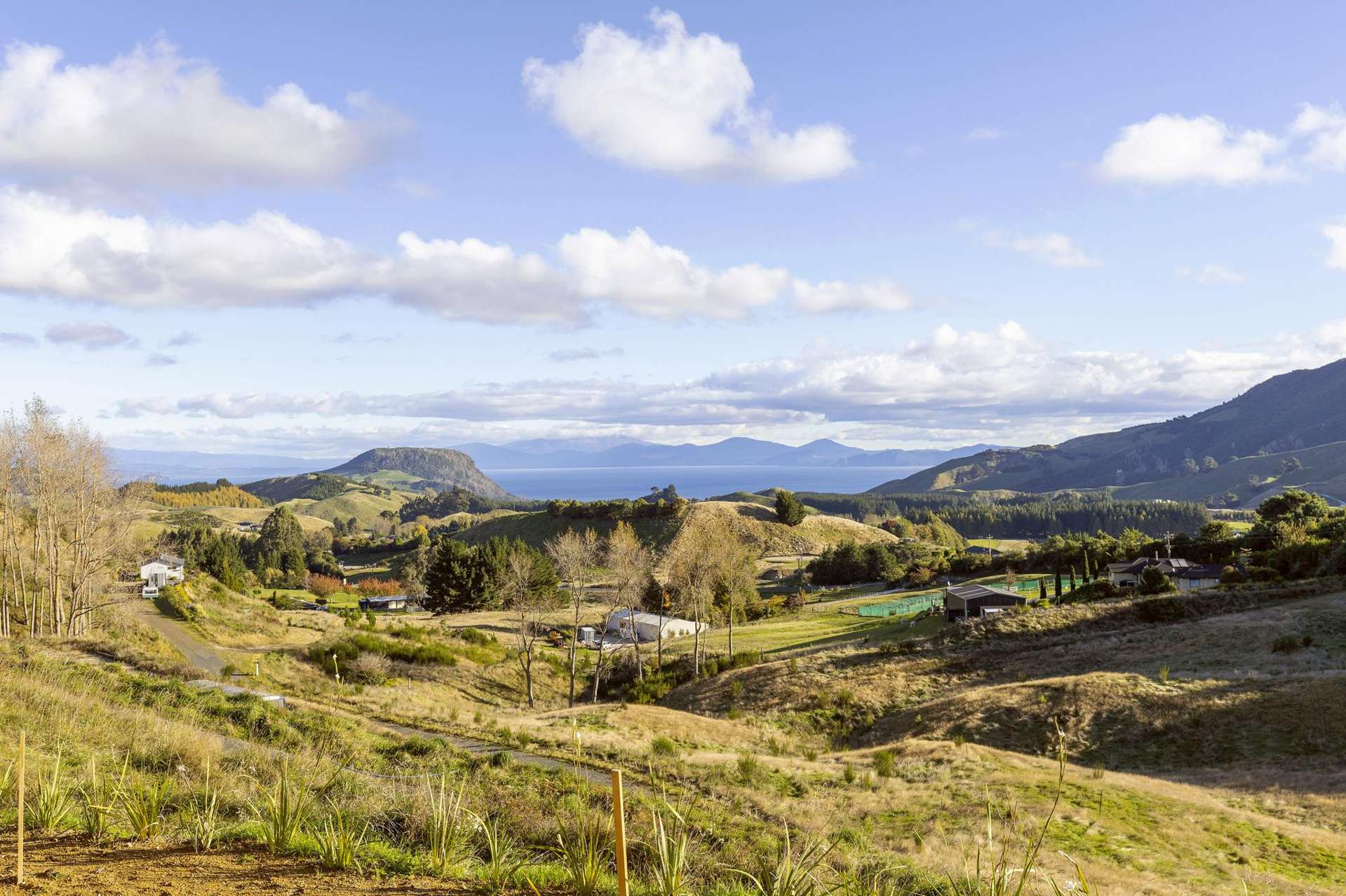 1040 Mapara Road Kinloch_0