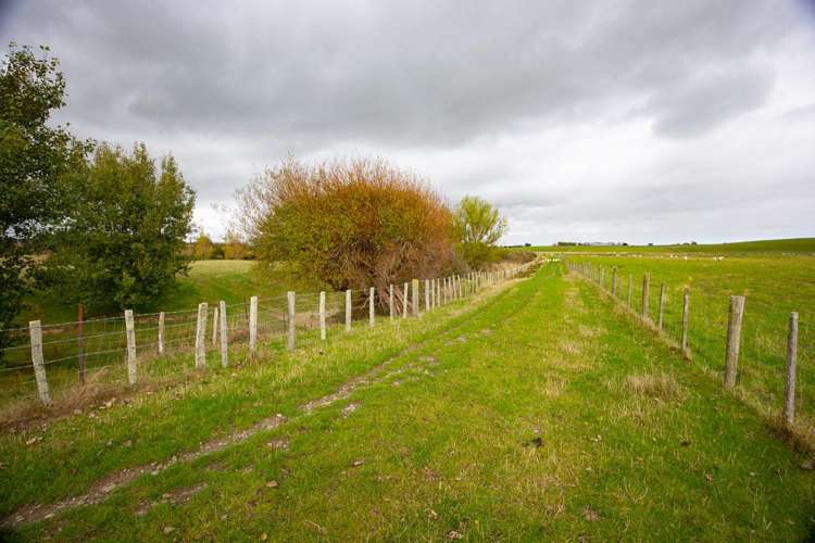 620 Taonui Road Colyton_20