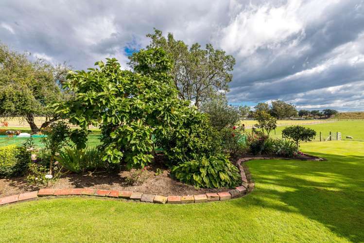 357 Hook School Road Makikihi_21