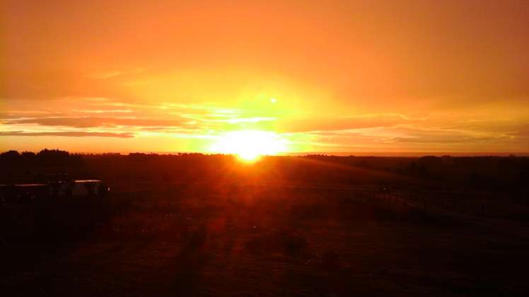 368 Oparara Loop Road Karamea_19