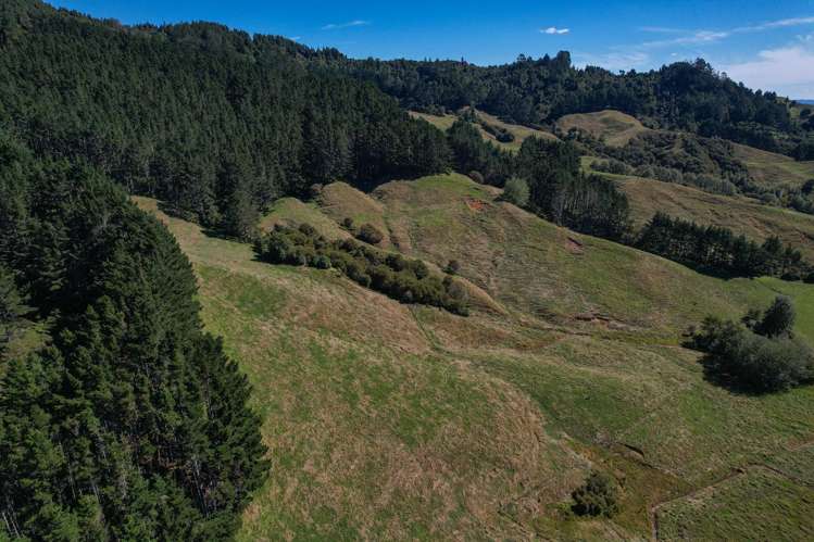 722 Maratoto Road Hikutaia_11