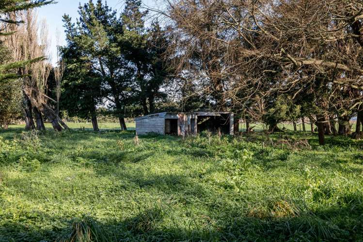 460 Troup Road Woodville_10