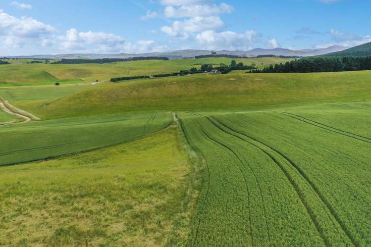 70 Finlay's Road Windsor_9