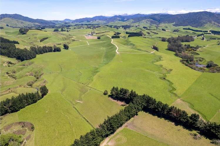 184 South Road No 2 Eketahuna_5