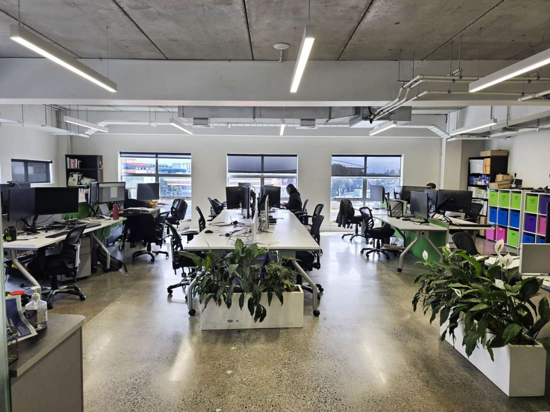 20 Augustus Terrace Parnell_0