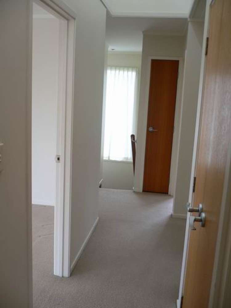 1/4 Pine Hill Crescent Browns Bay North Shore City Houses for