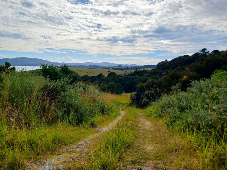 104 Stratford Drive Cable Bay_9