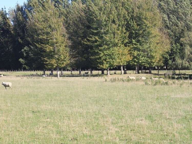 327 Bluff Rangitumau Road Rangitumau_22