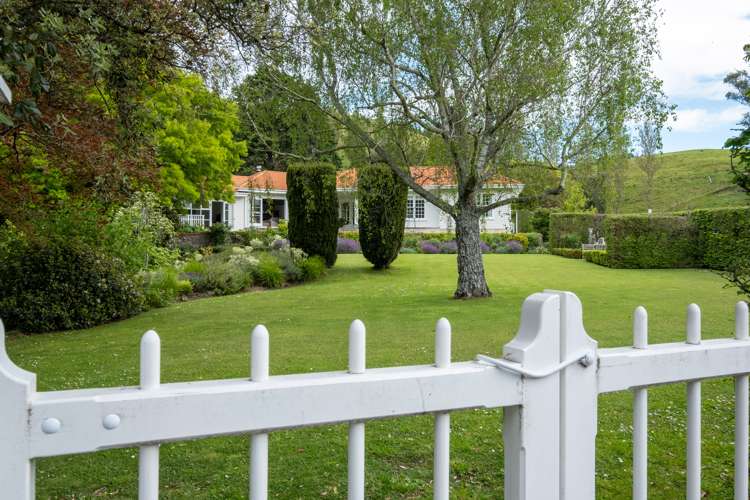 339 Seafield Road Eskdale_41