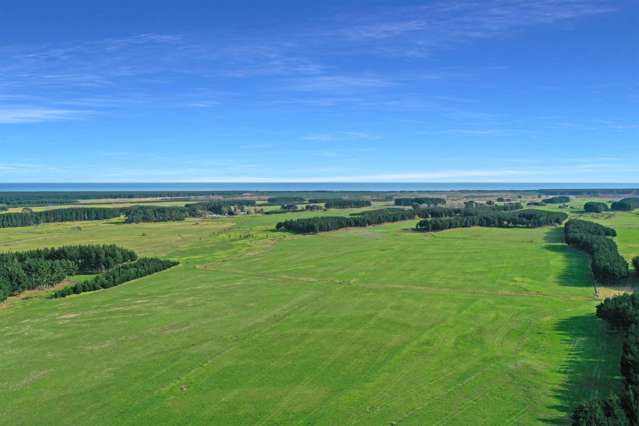 200 Beamish Road Bulls_4