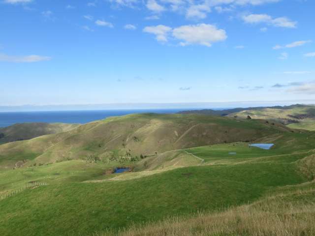 22 Punawaitai Road Central Hawkes Bay Coastal_4