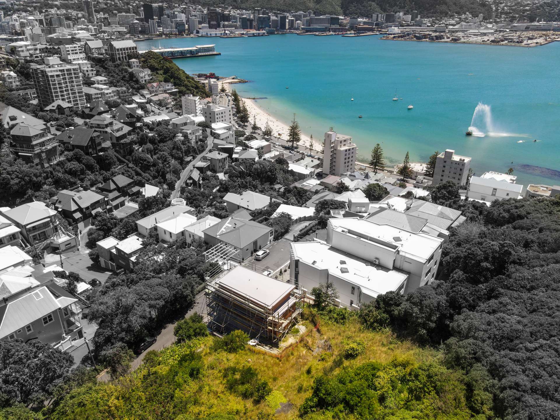 16 Telford Terrace Oriental Bay_0